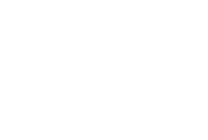Moss & Fog